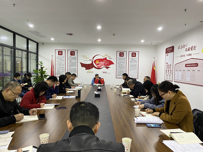 湘药健康公司党支部召开2020年度组织生活会及民主评议党员大会
